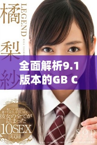 全面解析9.1版本的GB CRM系统新功能与应用场景