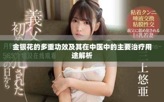 金银花的多重功效及其在中医中的主要治疗用途解析