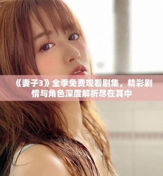 《妻子3》全季免费观看剧集，精彩剧情与角色深度解析尽在其中