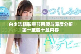 白少洁精彩章节回顾与深度分析第一至四十章内容