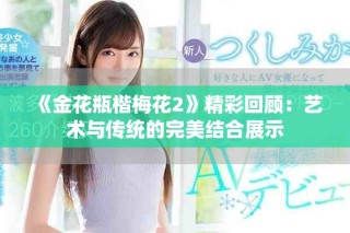 《金花瓶楷梅花2》精彩回顾：艺术与传统的完美结合展示