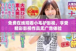 免费在线观看小毛驴影视，享受精彩影视作品无广告体验