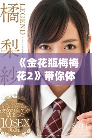 《金花瓶梅梅花2》带你体验经典剧情的全新篇章与感人故事展现