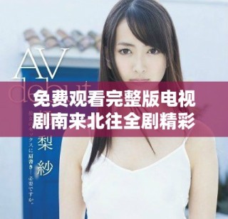 免费观看完整版电视剧南来北往全剧精彩剧情尽在其中