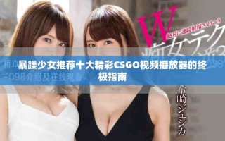 暴躁少女推荐十大精彩CSGO视频播放器的终极指南