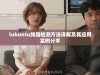 lubuntu线路检测方法详解及其应用实例分享