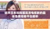 畅享日本和韩国高清电视剧的最佳免费观看平台解析