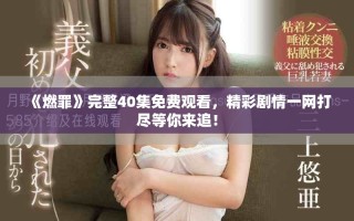 《燃罪》完整40集免费观看，精彩剧情一网打尽等你来追！