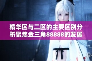 精华区与二区的主要区别分析聚焦金三角88888的发展潜力