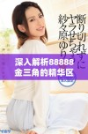 深入解析88888金三角的精华区与二区的主要区别与特点