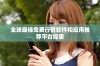 全球最佳免费行情软件和应用推荐平台探索