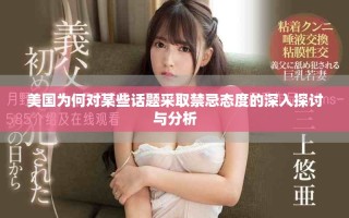 美国为何对某些话题采取禁忌态度的深入探讨与分析