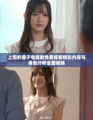 上司的妻子电视剧免费观看精彩内容与角色分析全面揭晓