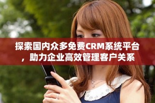 探索国内众多免费CRM系统平台，助力企业高效管理客户关系