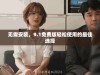 无需安装，9.1免费版轻松使用的最佳选择