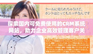 探索国内可免费使用的CRM系统网站，助力企业高效管理客户关系