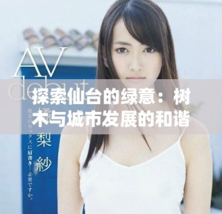 探索仙台的绿意：树木与城市发展的和谐美好交融