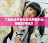了解欧洲尺码与其他尺码的关键区别与特点