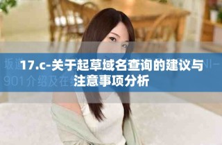 17.c-关于起草域名查询的建议与注意事项分析