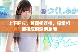 上下呼应，首尾相连接，探索相辅相成的深刻意涵