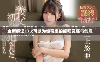 全新解读17.c可以为你带来的编程灵感与创意