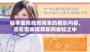 畅享蜜桃视频带来的精彩内容，尽在蜜桃视频官网体验之中