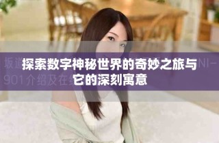 探索数字神秘世界的奇妙之旅与它的深刻寓意