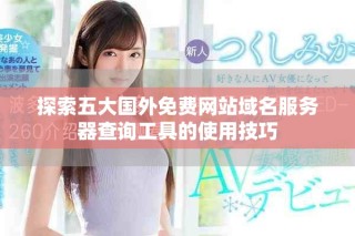 探索五大国外免费网站域名服务器查询工具的使用技巧