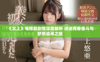 《北上》电视剧剧情深度解析 讲述青春奋斗与梦想追寻之旅