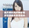 揭开黑料网的神秘面纱深度解析其背后的真相与影响