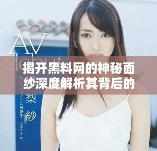 揭开黑料网的神秘面纱深度解析其背后的真相与影响
