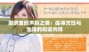 厨房里的声韵之美：探寻烹饪与生活的和谐共鸣