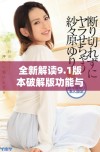 全新解读9.1版本破解版功能与使用技巧分享