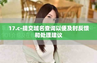 17.c-提交域名查询以便及时反馈和处理建议