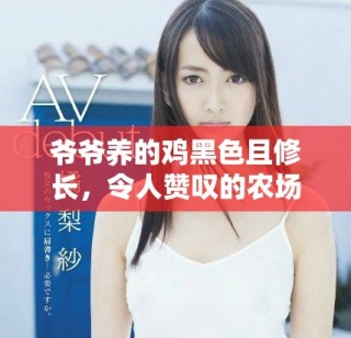 爷爷养的鸡黑色且修长，令人赞叹的农场生活