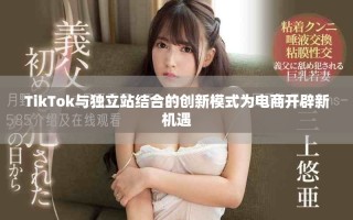 TikTok与独立站结合的创新模式为电商开辟新机遇