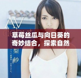 草莓丝瓜与向日葵的奇妙结合，探索自然的美味与活力