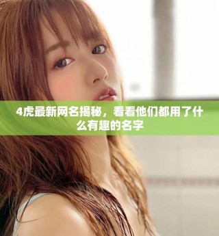 4虎最新网名揭秘，看看他们都用了什么有趣的名字