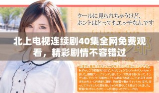 北上电视连续剧40集全网免费观看，精彩剧情不容错过