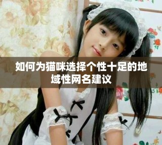 如何为猫咪选择个性十足的地域性网名建议