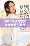 2023年伊对官方正版免费下载并安装指南分享