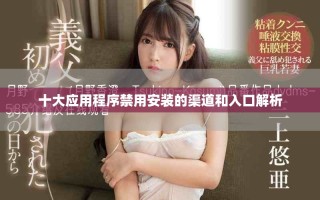 十大应用程序禁用安装的渠道和入口解析