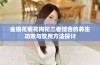 金银花菊花枸杞三者结合的养生功效与饮用方法探讨