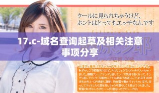 17.c-域名查询起草及相关注意事项分享