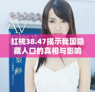 红桃38.47揭示我国隐藏人口的真相与影响