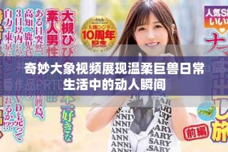 奇妙大象视频展现温柔巨兽日常生活中的动人瞬间