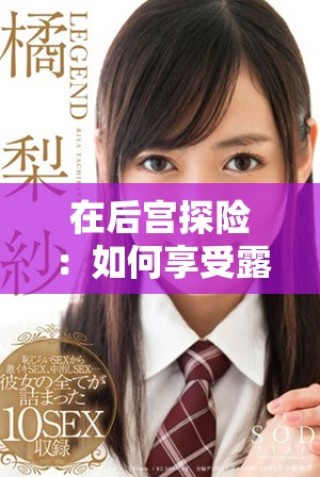 在后宫探险：如何享受露营带来的独特魅力与乐趣