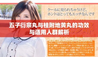 五子衍宗丸与桂附地黄丸的功效与适用人群解析