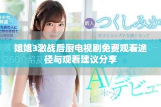 姐姐3激战后厨电视剧免费观看途径与观看建议分享