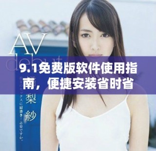 9.1免费版软件使用指南，便捷安装省时省力